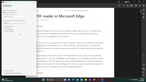 How to search texts in PDF files - WinFindr Blog